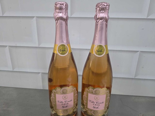 Mousserende wijn villa conchi cava brut blush fles (8x) - afbeelding 1 van  4