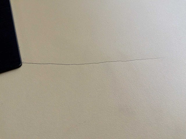 Mr bartafel - afbeelding 3 van  11