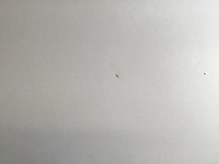 Msm bijzettafel (4x) - afbeelding 7 van  11