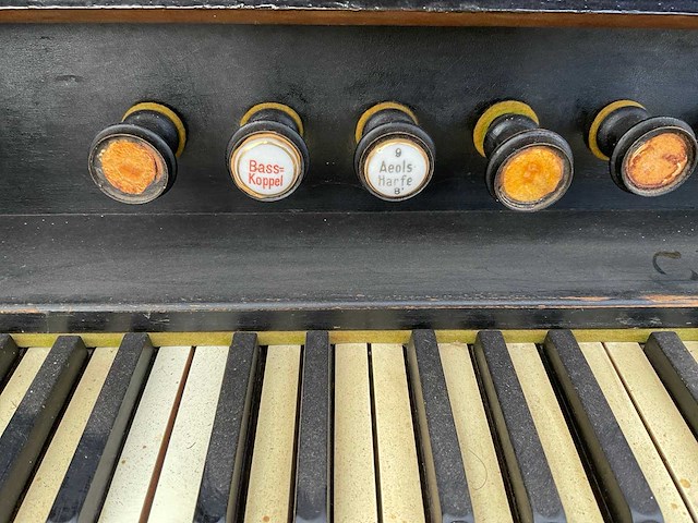 M.spiering harmonium / traporgel - afbeelding 2 van  12