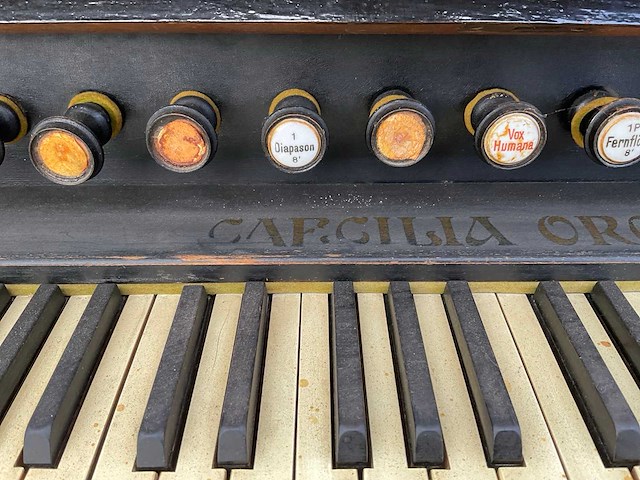 M.spiering harmonium / traporgel - afbeelding 3 van  12