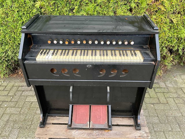 M.spiering harmonium / traporgel - afbeelding 6 van  12