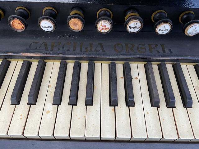 M.spiering harmonium / traporgel - afbeelding 11 van  12