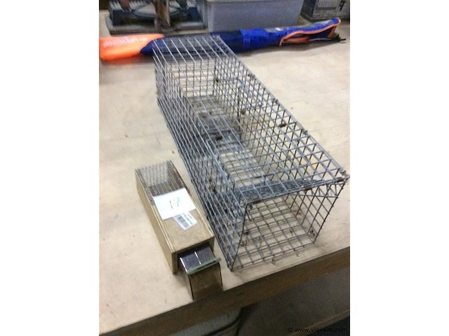 Muizen/ rattenvallen - afbeelding 1 van  2