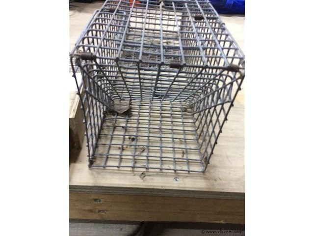 Muizen/ rattenvallen - afbeelding 2 van  2