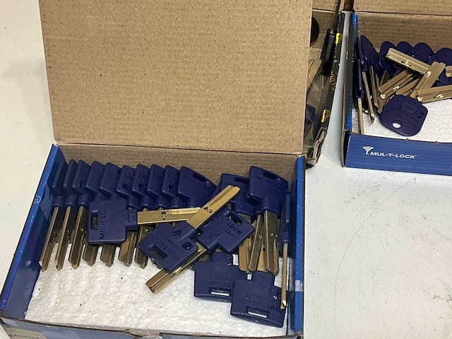 Mul-t-lock diverse sleutels (250x) - afbeelding 5 van  6
