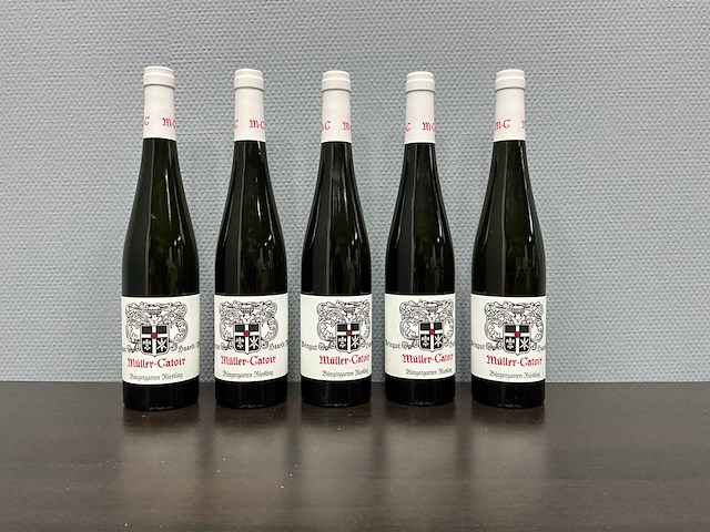 Muller catoir riesling burgergarten 1e lage 2020 (5x) - afbeelding 1 van  3