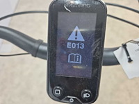 Multicycle - e-bike - solo emi - elektrische fiets - afbeelding 7 van  9