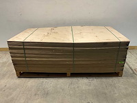 Multiplex-plaat - 250x125x0,9 cm (50x) - afbeelding 2 van  8