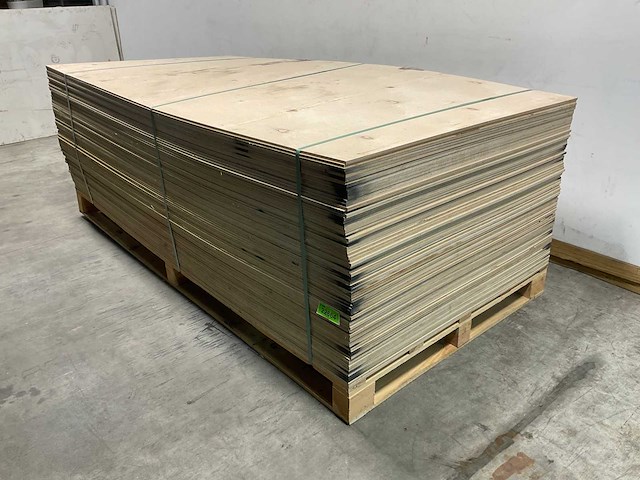 Multiplex-plaat - 250x125x0,9 cm (50x) - afbeelding 1 van  4