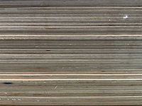 Multiplex-plaat - 250x125x0,9 cm (80x) - afbeelding 8 van  8