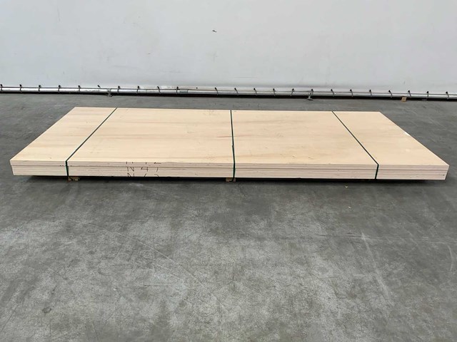 Multiplex plaat 3060x1305x38mm (3x) - afbeelding 2 van  7