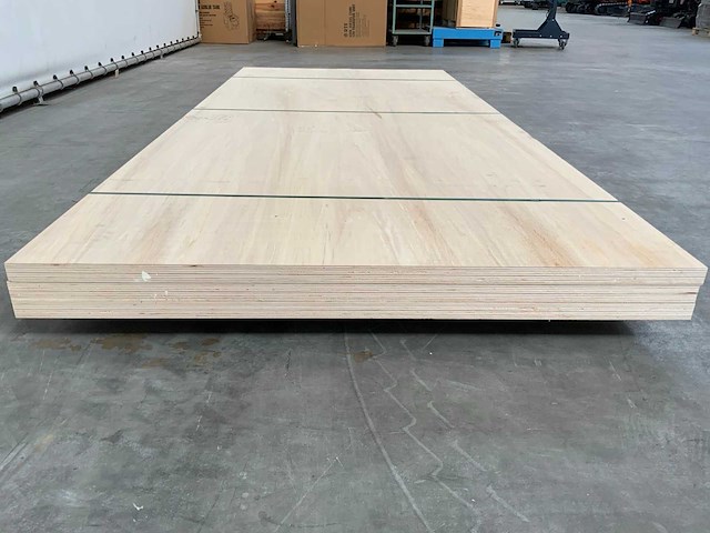 Multiplex plaat 3060x1305x38mm (3x) - afbeelding 5 van  7