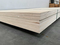 Multiplex plaat 3060x1305x38mm (3x) - afbeelding 6 van  7
