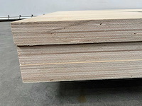 Multiplex plaat 3060x1305x38mm (3x) - afbeelding 7 van  7