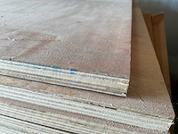 Multiplex plaat (48x) - afbeelding 1 van  1