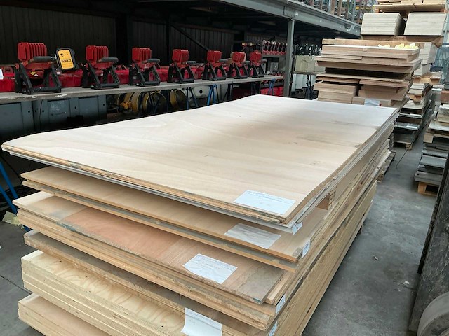 Multiplex - afbeelding 1 van  4