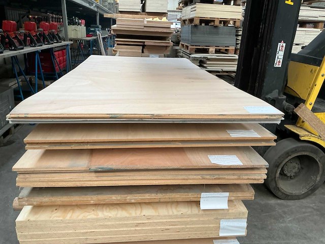 Multiplex - afbeelding 2 van  4