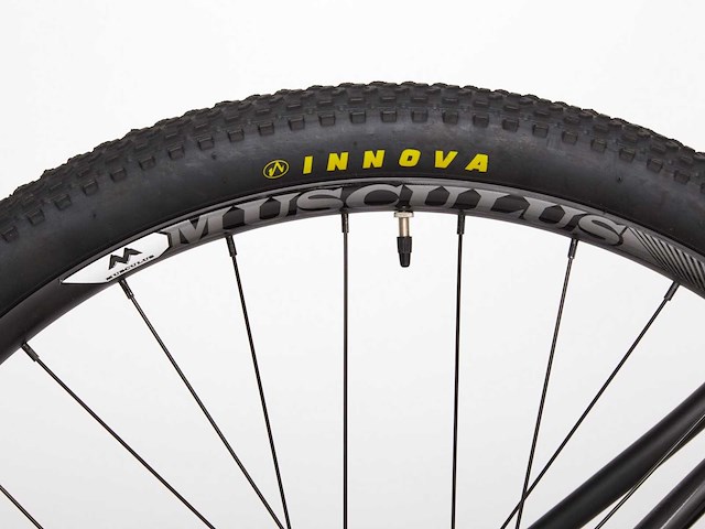 Musculus tergum mountainbike (40x) - afbeelding 3 van  9