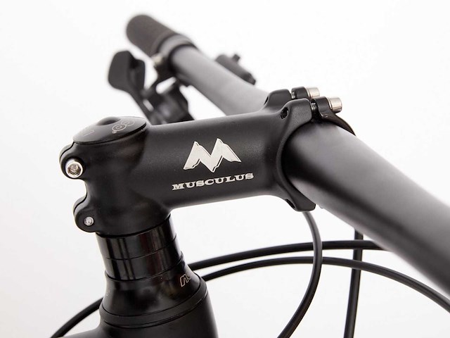 Musculus tergum mountainbike (40x) - afbeelding 2 van  9