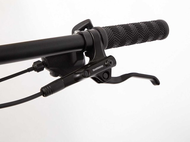 Musculus tergum mountainbike (40x) - afbeelding 5 van  9