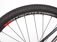 Musculus tuber mountainbike (10x) - afbeelding 7 van  11