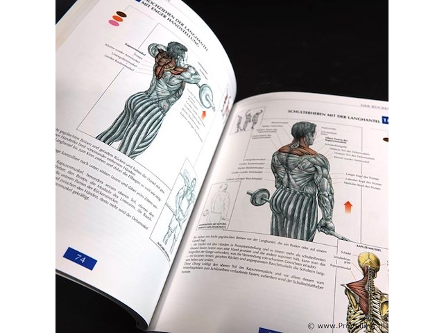 Muskel guide - afbeelding 4 van  5