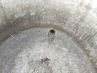 Muvero - 150 r - kookketel - afbeelding 13 van  17