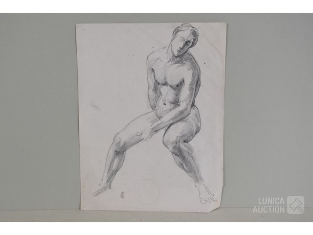 Naaktstudies/schetsen - afbeelding 4 van  13