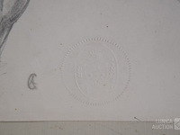 Naaktstudies/schetsen - afbeelding 5 van  13