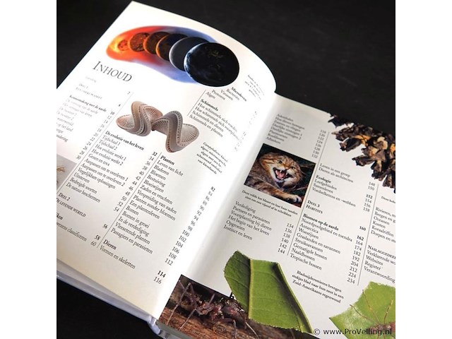 Natuur encyclopedie - afbeelding 3 van  5