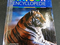 Natuur encyclopedie
