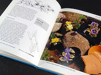 Natuurlijk boetseren met zelfhardende klei - afbeelding 5 van  5