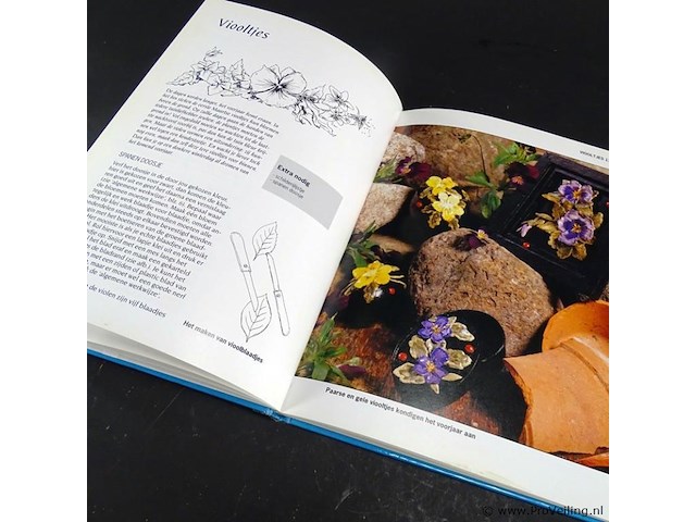 Natuurlijk boetseren met zelfhardende klei - afbeelding 5 van  5