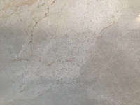 Natuursteen marmer beige gepolijst tegel 60x60x2 cm 108 m² - afbeelding 4 van  7
