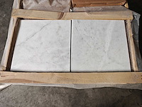 Natuursteen marmer wit honed 45,7x45,7 cm tegel 106,5 m² - afbeelding 1 van  8