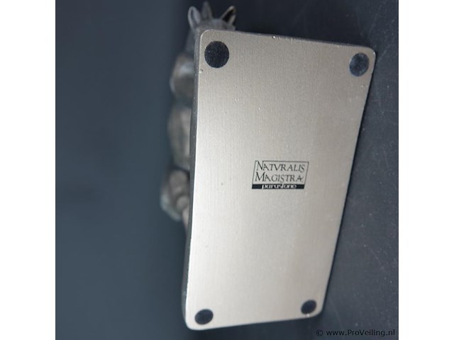 Natvralis magistra gestileerd beeld van een paard - afbeelding 5 van  5