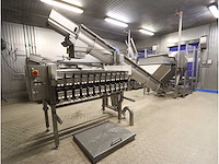 Nawi/newtec rvs vul/weeg lijn - afbeelding 10 van  16