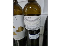 Nebla / valpolicella wijn fles (7x) - afbeelding 3 van  5