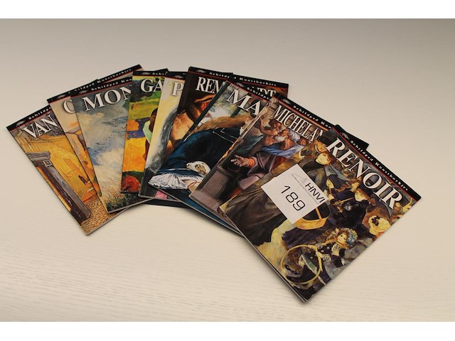 Negen kunstboeken schildpad schilders waaronder rembrandt, van gogh, picasso, enz. - afbeelding 1 van  2