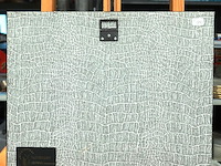 Negentiende-eeuwse lithografie van het gelderse dorp bergen en dal - afbeelding 4 van  5