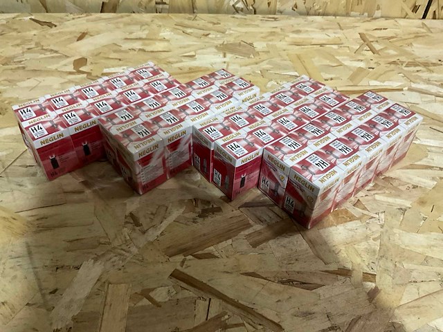Neglin h4 lamp (40x) - afbeelding 1 van  3