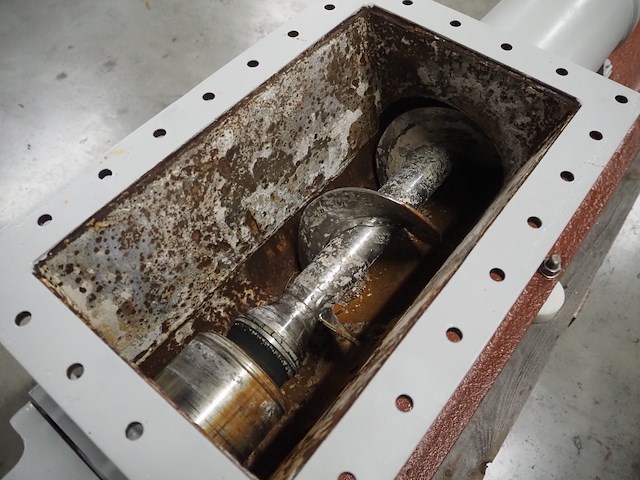 Nemo - afbeelding 8 van  12