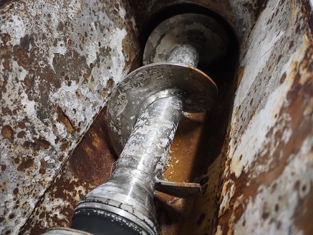 Nemo - afbeelding 9 van  12