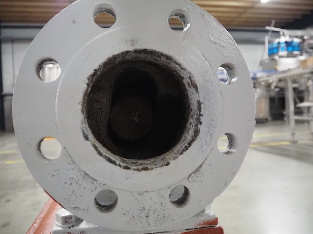 Nemo - afbeelding 10 van  12