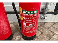 Nen - 6 liter schuim pfoam - ecoschuim - brandblusser (2x) - afbeelding 3 van  3
