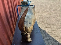 Neushoorn collectible beeld - afbeelding 2 van  4