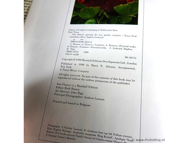 New flowers - afbeelding 2 van  5