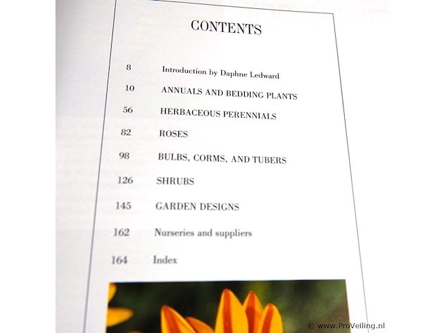 New flowers - afbeelding 3 van  5