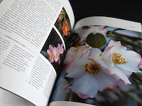 New flowers - afbeelding 4 van  5